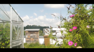 Kapitel 9 - Fit für die Evaluation - Stadtnatur
